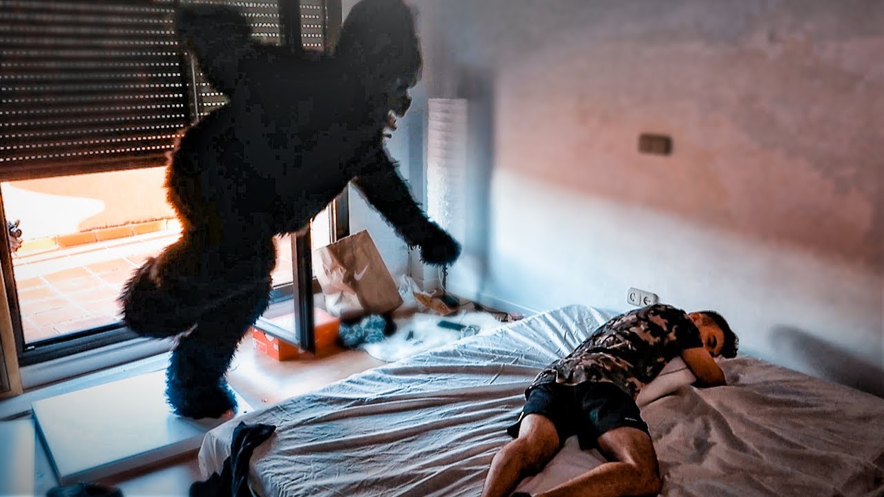 ATAQUE DE GORILA MIENTRAS DUERMEN!! BROMA PESADA A YOUTUBERS EN LA NUEVA CASA! [Shooter]