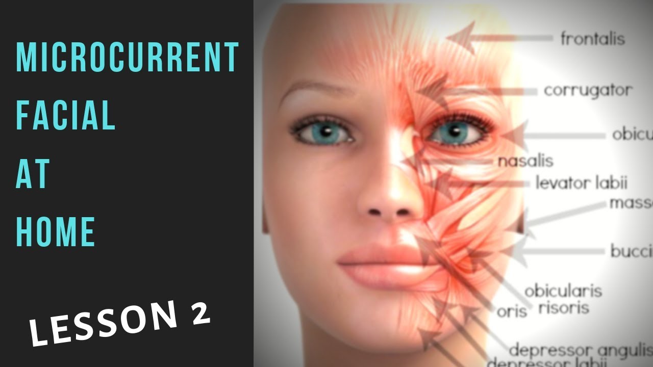 Microcurrent At-Home Facial Toning Tutorial Day 2