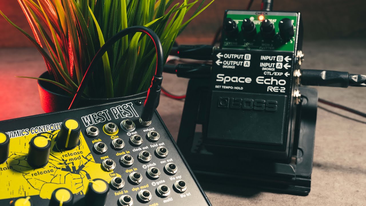 West Pest Demo and Thoughts with Space Echo RE-2