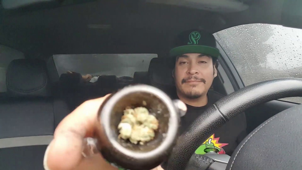 LOVE POTION #1 & CLEMENTINE BY WAY OF SKUNKMASTERS