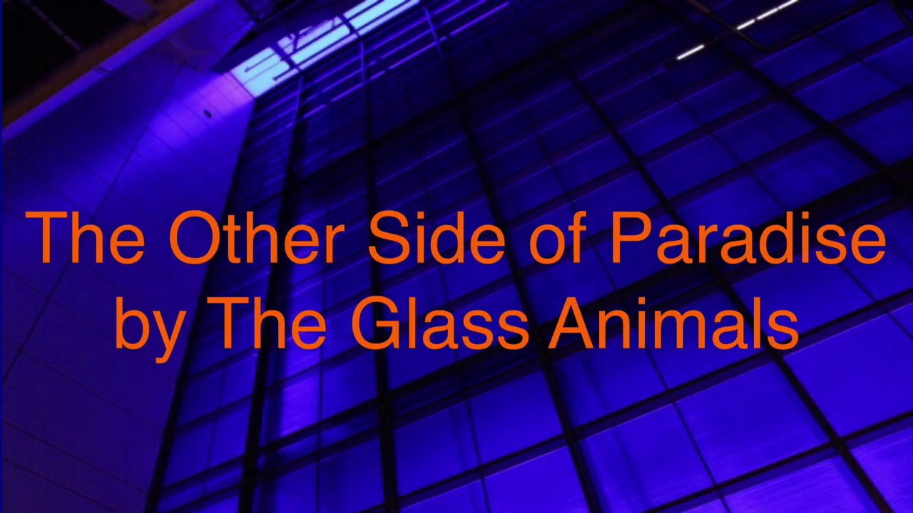 The Glass Animals - The Other Side of Paradise (lyrics, clean)