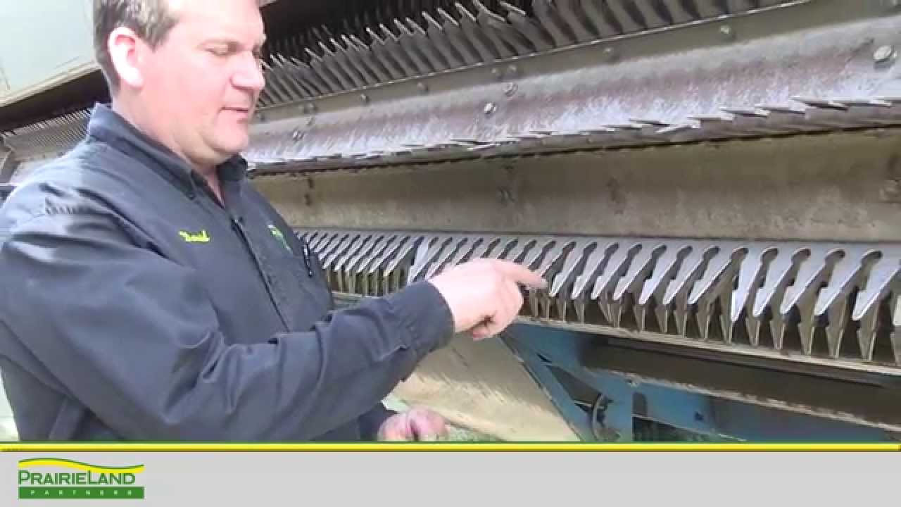 PLP Header Walk Around Shelbourne Header