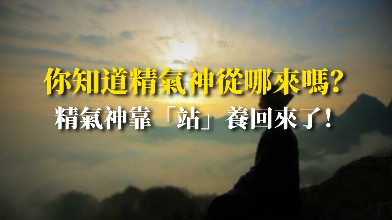 揭秘精氣神真正的來源！站樁，才是補元氣的終極修煉法！
