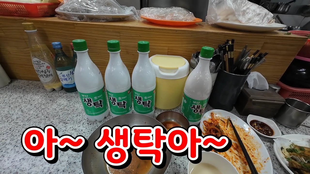 [2026봄 부산] 생탁4병에 이래 여행이 끝나는건가..
