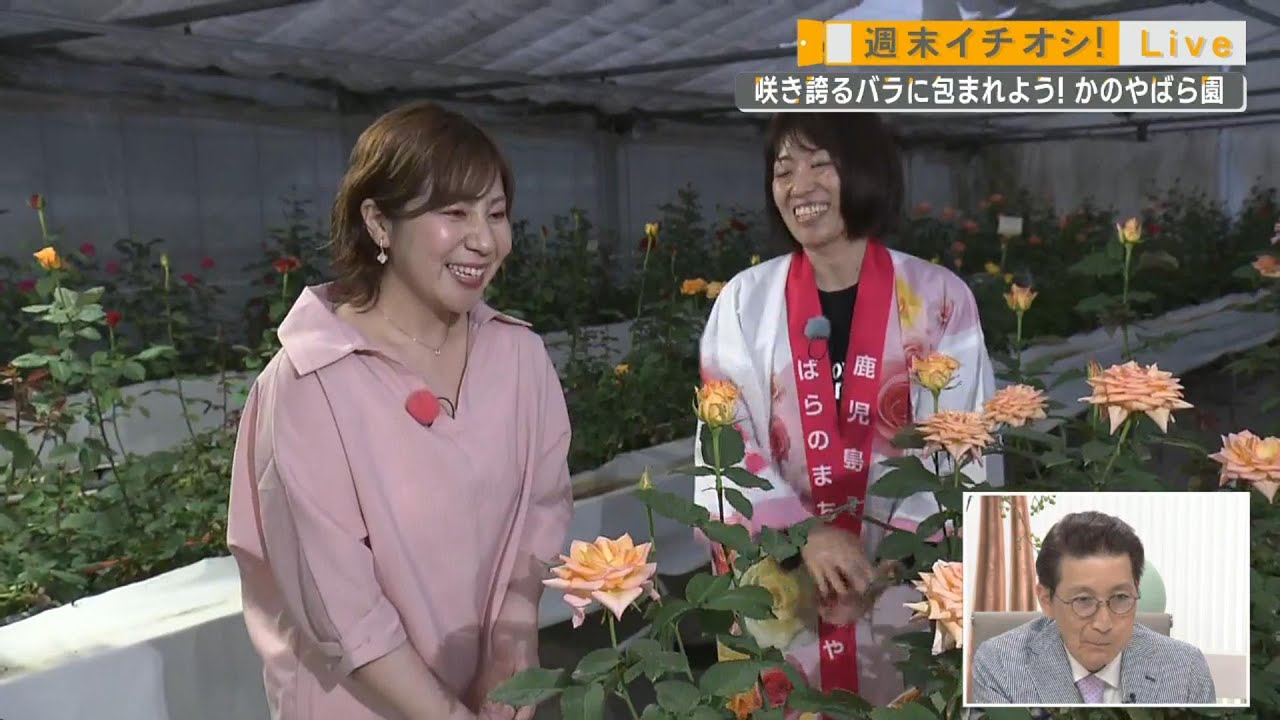 【週末イチオシ！Live】咲き誇るバラに包まれよう！～かのやばら園～ News+おやっと！特集(4月26日(金)放送)