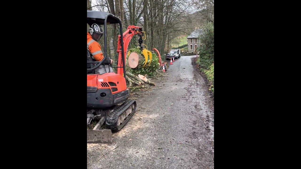 Tree removal with mini digger and grab. Kubota u17 log grab #fypシ #fyp #satisfying #arborist #tree