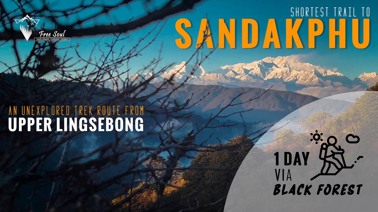 Sandakphu Trek via Singalila Black Forest in 1 DAY | Shortest & Unknown Trail from Upper Lingsebong