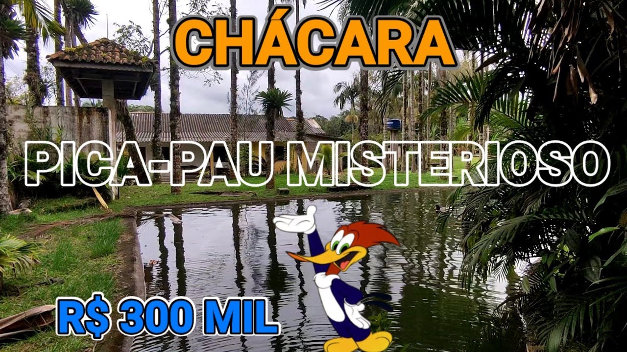 VENDE-SE CHÁCARA COM BARRACÃO + DUAS CASAS EM IGUAPE - SP - R$ 300 MIL (CÓD C253)