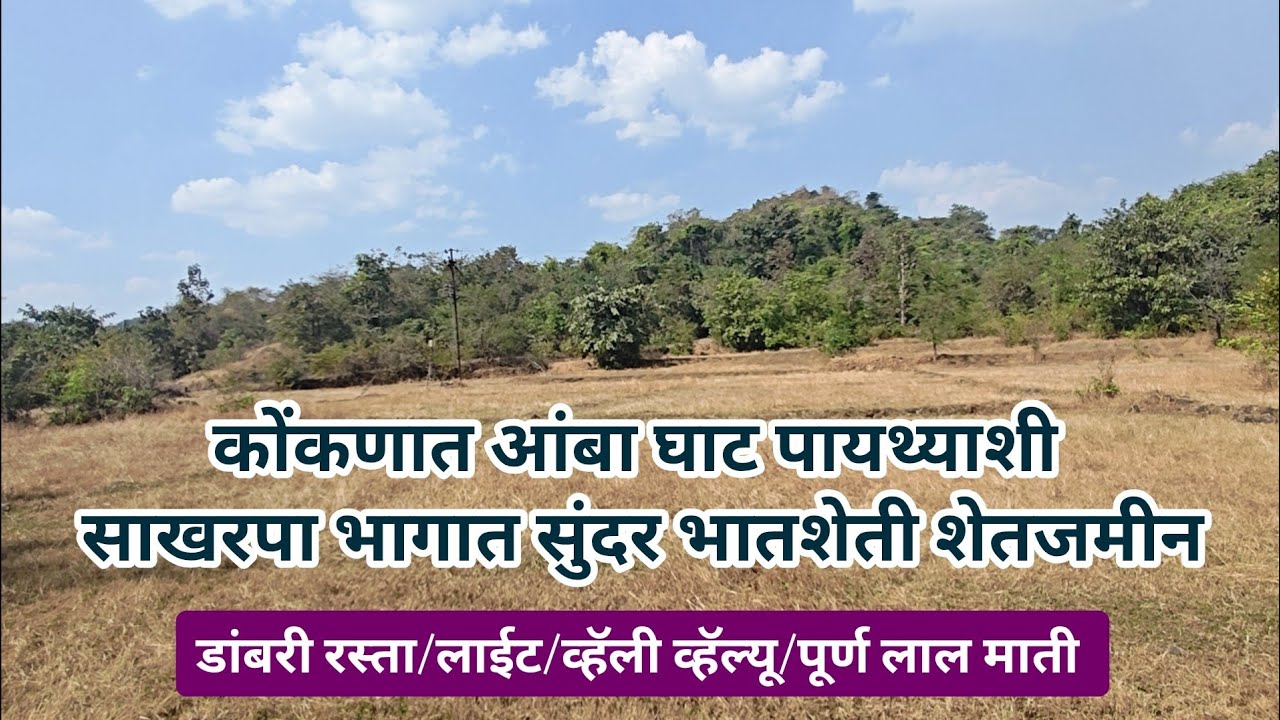 रत्नागिरी-कोल्हापूर हायवे फक्त ८ की मी अंतरावर डांबरी रस्ता लगत सुंदर भातशेती शेतजमीन विकणे आहे!