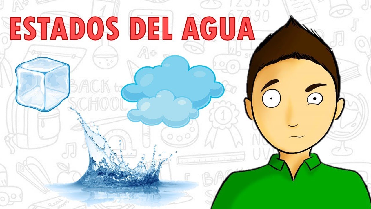 ESTADOS DEL AGUA | para todos (muy fácil)