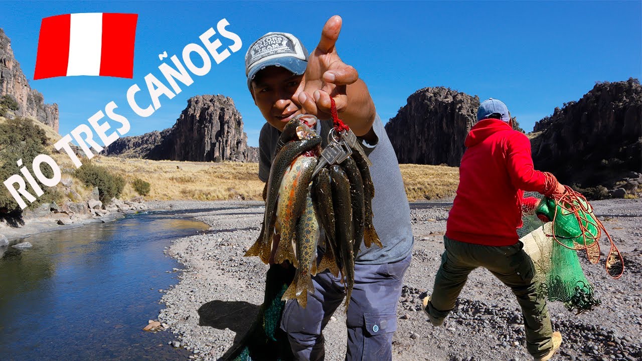 Impresionante LUGAR PARA PESCAR TRUCHAS CON ATARRAYA - Pesca de Truchas en Río