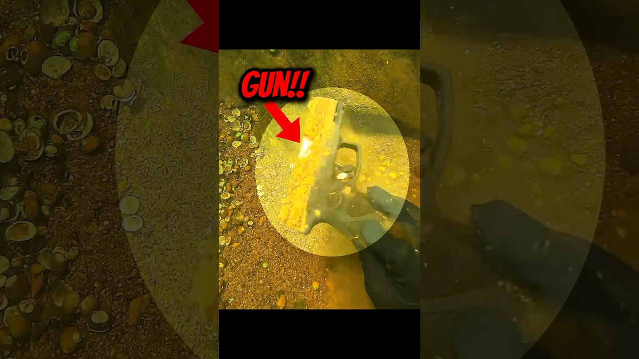 Amazing Treasure Finds You Won&rsquo;t believe