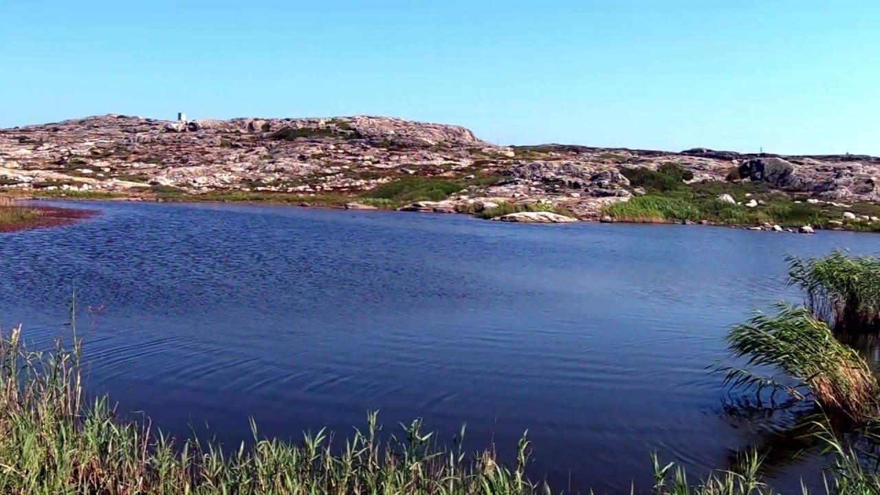 Beautiful Swedish Nature Reservoir  - 10 min - Summer Season 4k