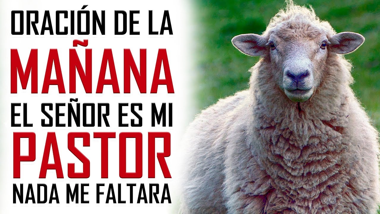 ORACION DE LA MAÑANA 🙏  EL SEÑOR ES MI PASTOR 🐑 Y NADA ME FALTARA 🍇💰👕 SALMO 23 📖