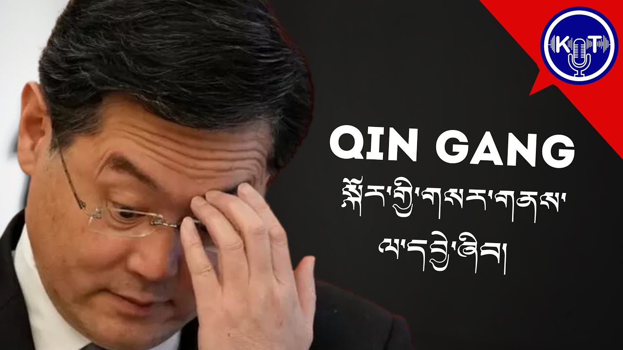 Qin Gang སྐོར་གྱི་གསར་གནས་ལ་དབྱེ་ཞིབ།   ༼འདོན་ཐེངས་ ༡༡༡༽