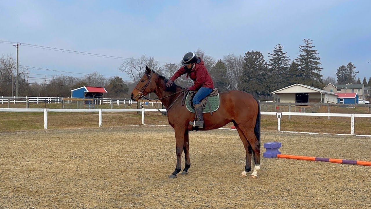 Twixter, chill first ride off the track 