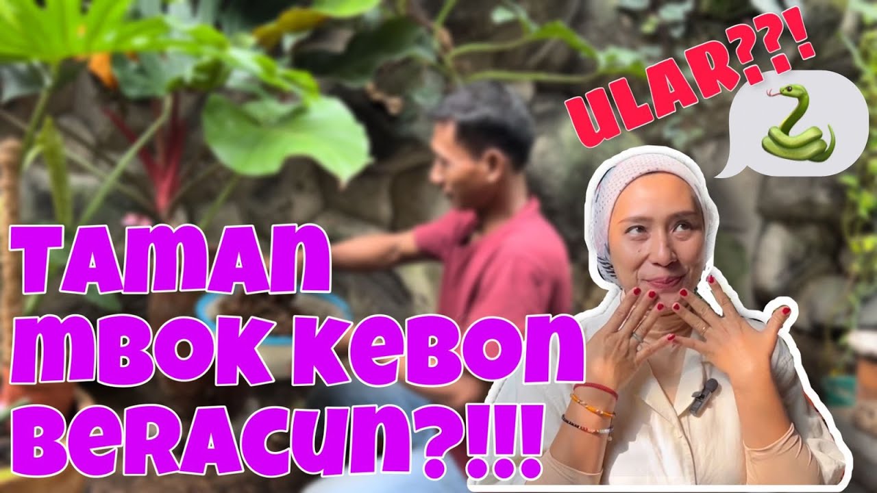 Ada Ular di Taman Mbok Kebon😱‼️‼️