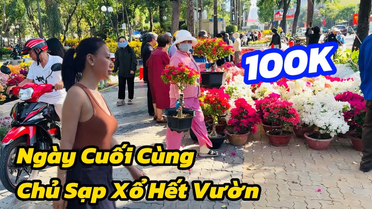 ✅Sáng Sớm Bà Con Chen Nhau Mua Bông Nhà Vườn Xổ Hết, Bán Không Hết Vứt Bỏ