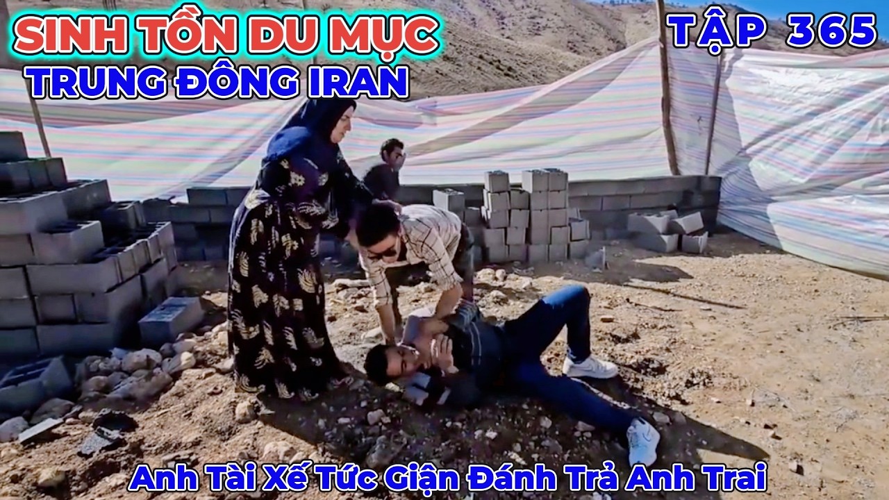 Phần 365: Nơi ở Mới Bị Phát Hiện Nhưng Anh Tài Xế Đã Chống Trả Lại Anh Trai Để Bảo Vệ Chỗ ở Của Mình