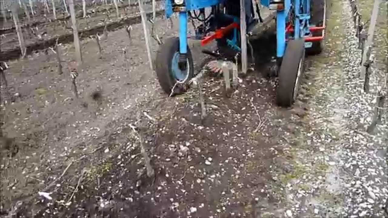 K.U.L.T. Fingerhacke im Weinbau, 2015, finger weeder in vineyards, bineuse viticole