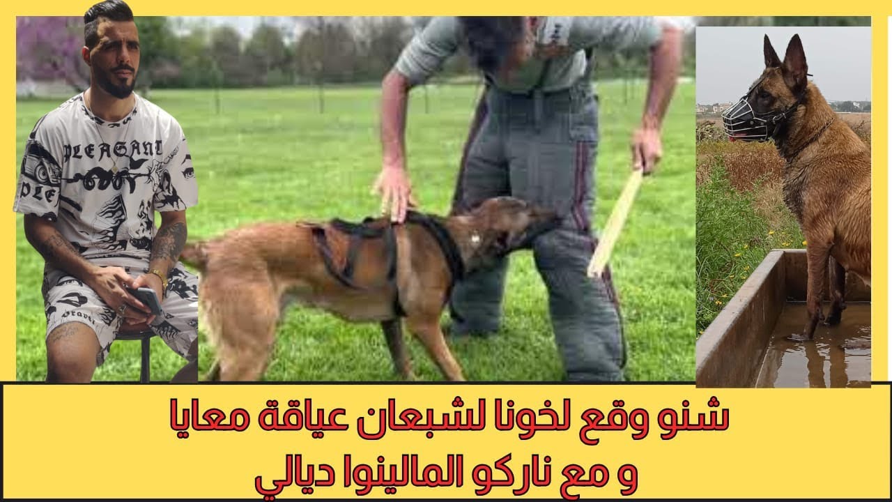 يوسف الغرباوي : قصه خونا نشبعان عياقه وكيفاش وقع له المشكل معي وكيفاش تبيض 😎💪