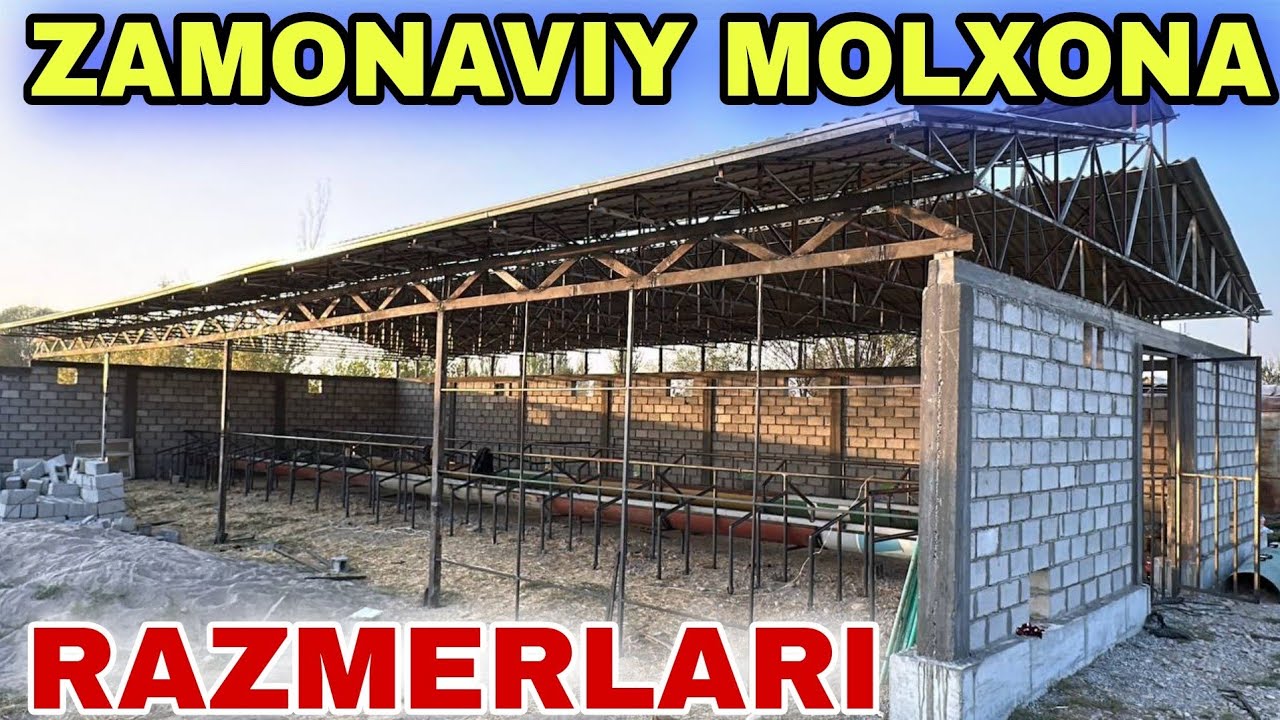  ZAMONAVIY MOLXONA RAZMERLARI 