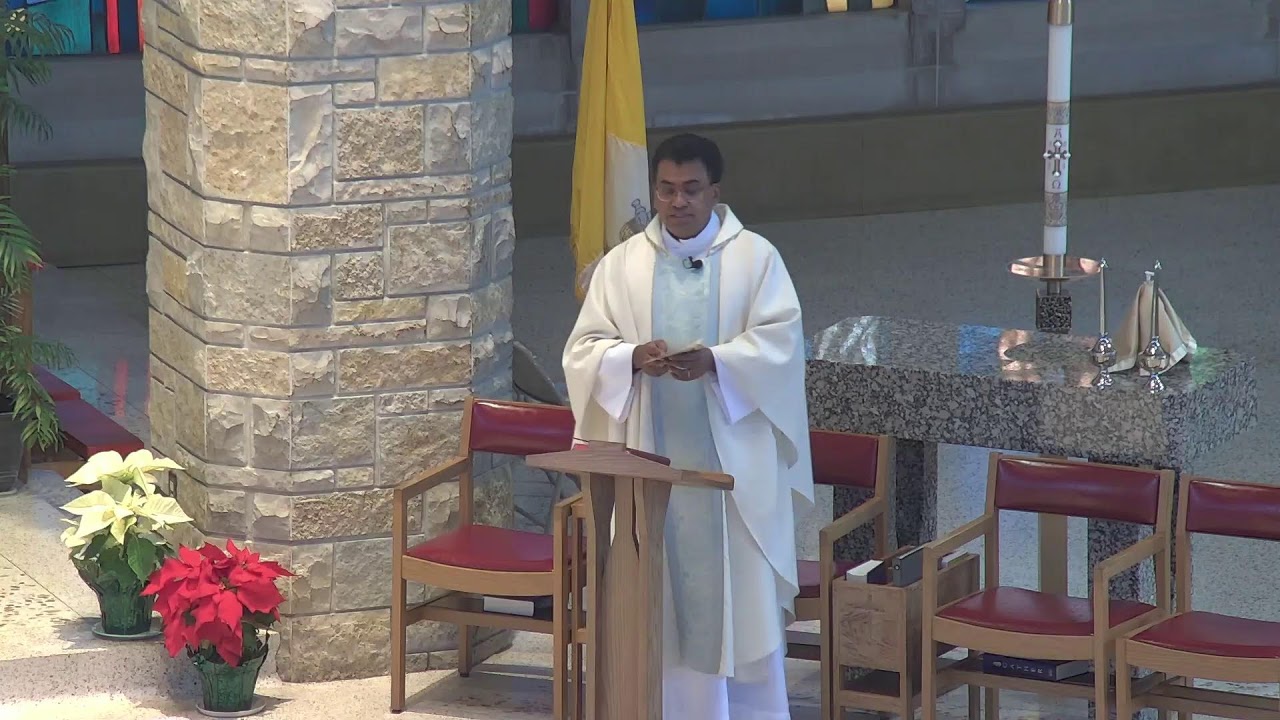 January 11, 2026, Sunday Mass