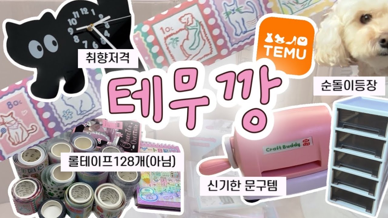 대만족한 테무깡 📦💥 정리템부터 롤테이프128개 하울(아님)