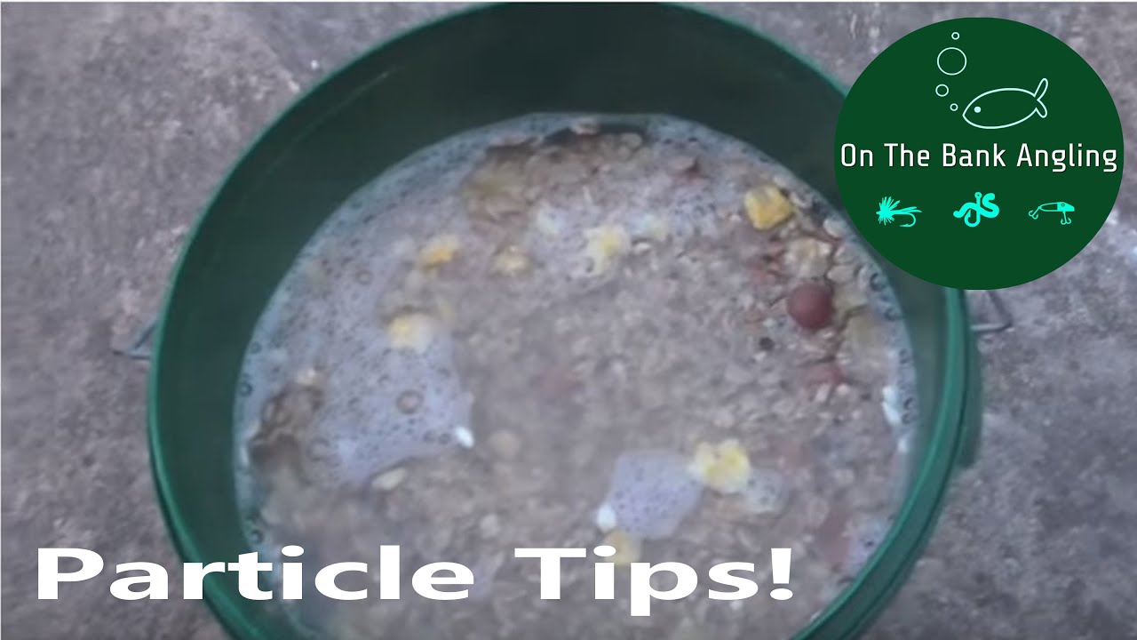 How to prepare particle baits for Carp fishing