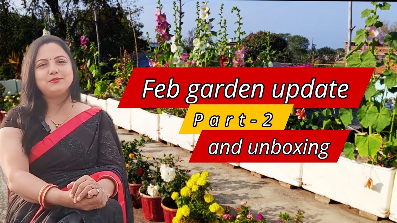 🔴फरवरी गार्डन का नया रूप 🌿 | Big Clean Up Result + Gardening Shopping Unboxing 