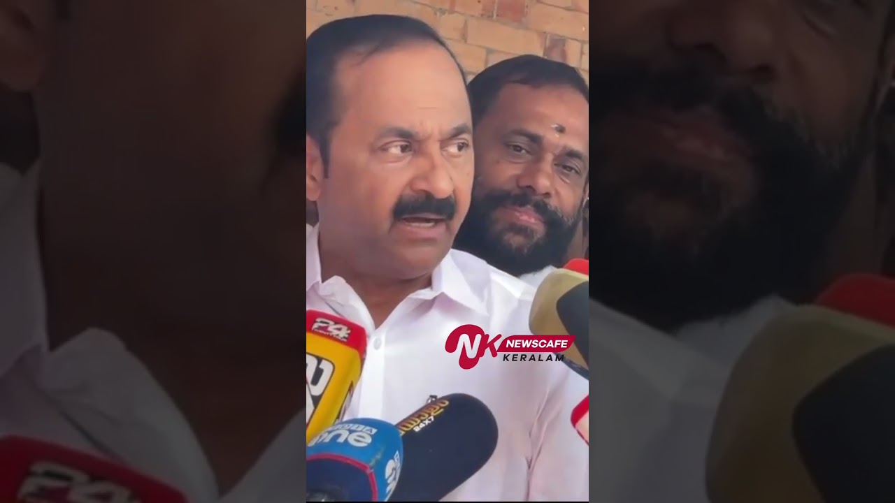 The remark against Pratibha is offensive #vdsatheesan #udf #muslimleague #congresskerala #kpcc