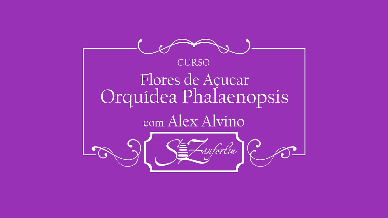 Curso de Flores de Açucar Orquídea Phalaenopsis