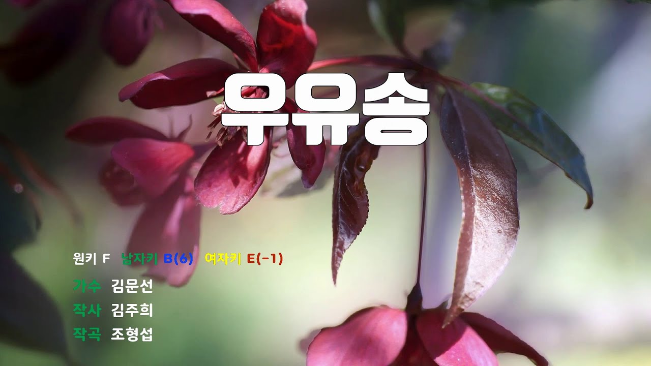 [은성 반주기] 우유송 - 김문선