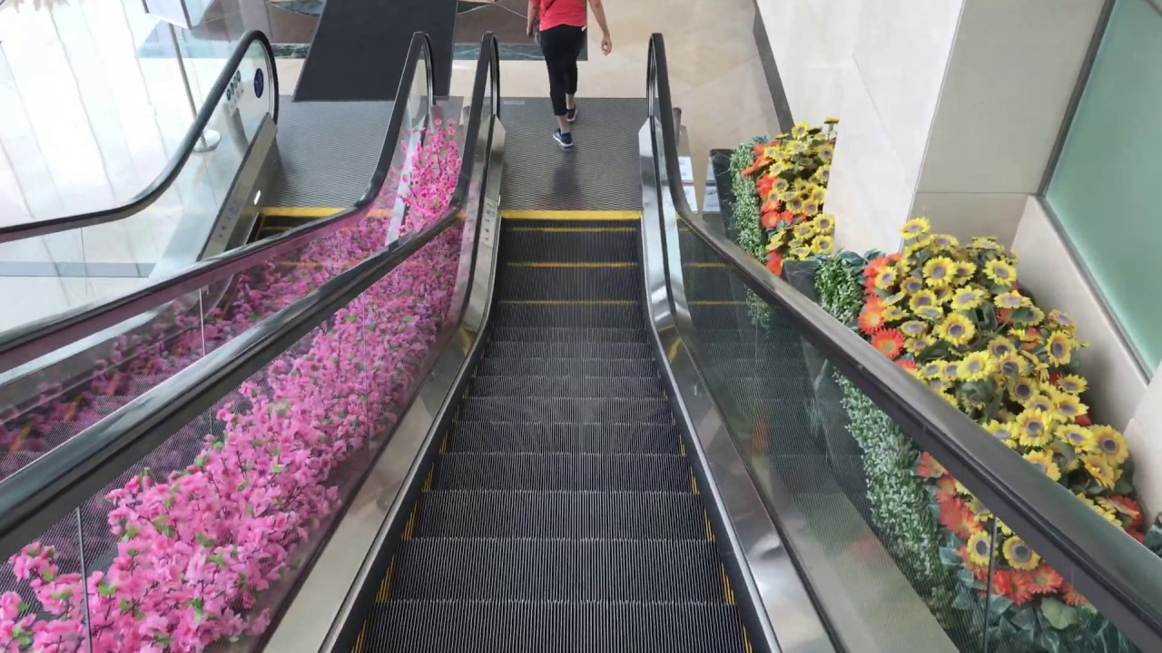 Fujitec escalators with flowers @ Sorrento in West Kowloon, Hong Kong (to Towers 1 and 2)