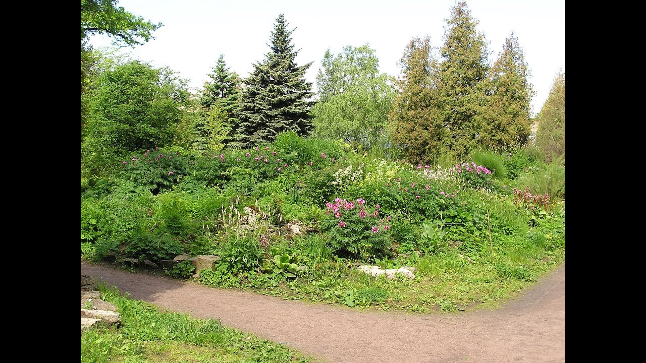 Сестрорецкий курорт - мир покоя и красоты.