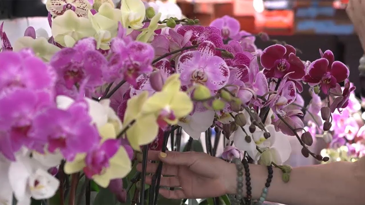 The Key West Artisan Market
