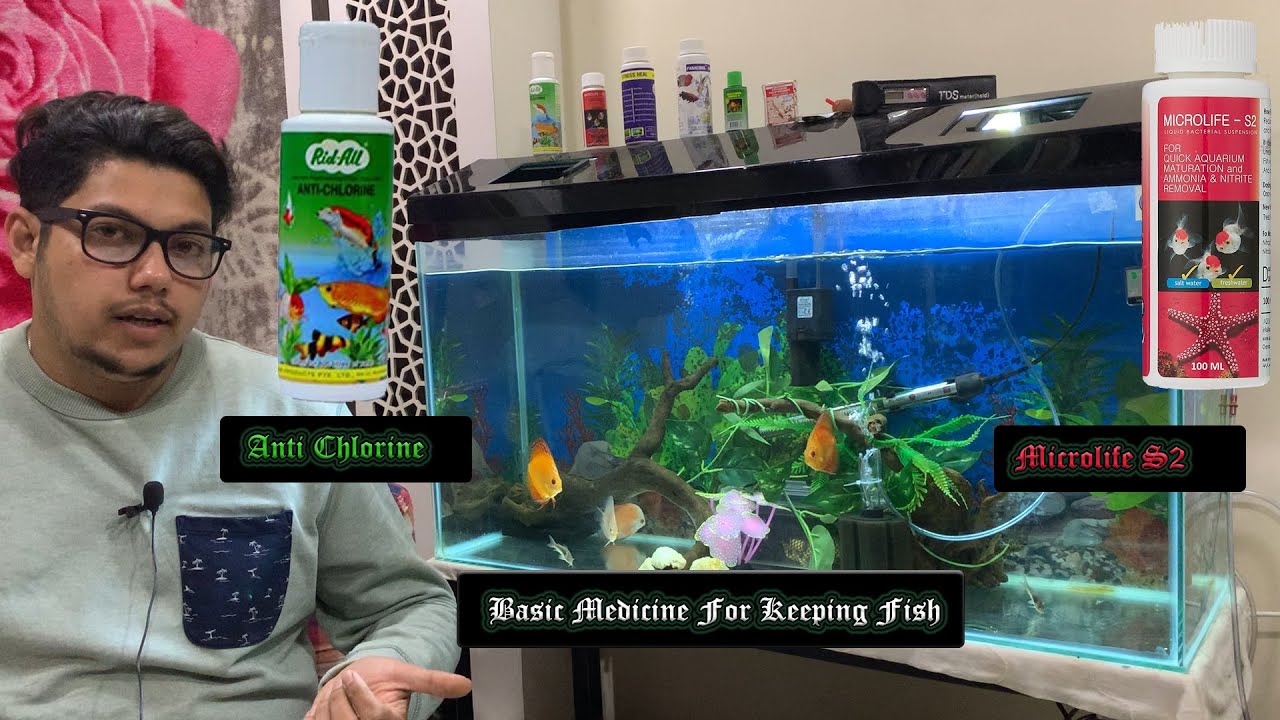 Medicine to Keep Fish | How to keep Fish Healthy |Anti chlorine use | microlife s2