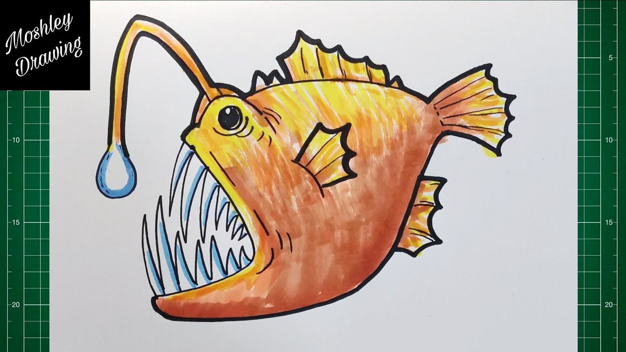 How to Draw an Anglerfish step by step 