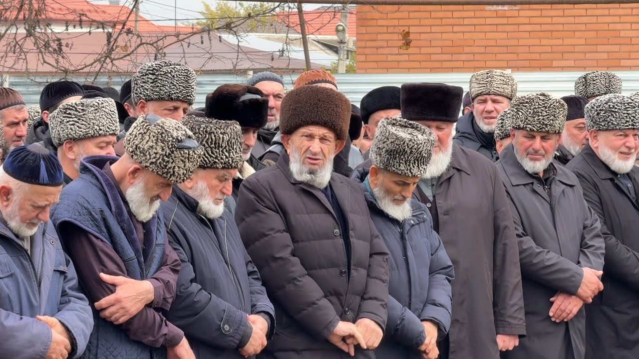 ИЛАЛДАЕВ ЭМИН НАНА Д1АЙАЛ ТЕЗЯТ 18 ноября 2025 г.
