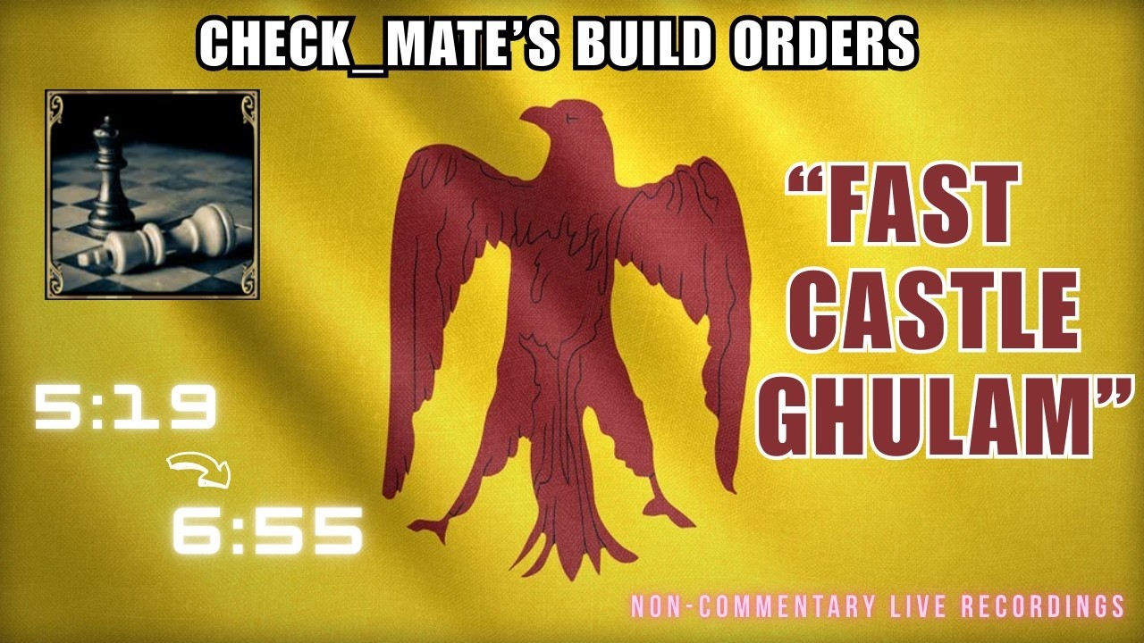 AOE4 Ayyubids 