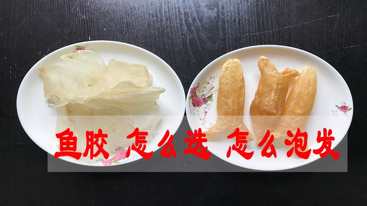 鱼胶黄鱼胶怎么选择？怎么泡发才正确？花胶的泡发方法