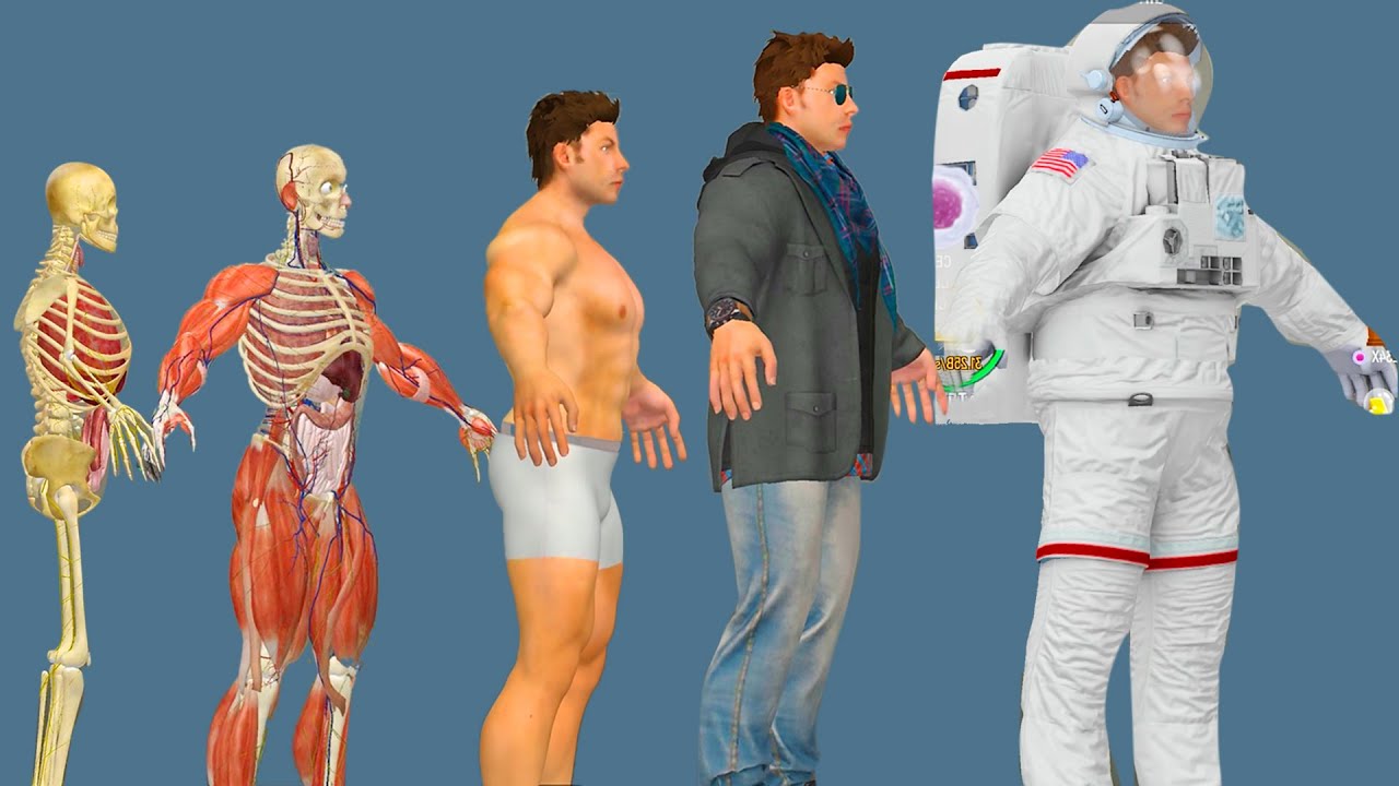 Idle Human  - MAX LEVEL MAN EVOLUTION Idle Human