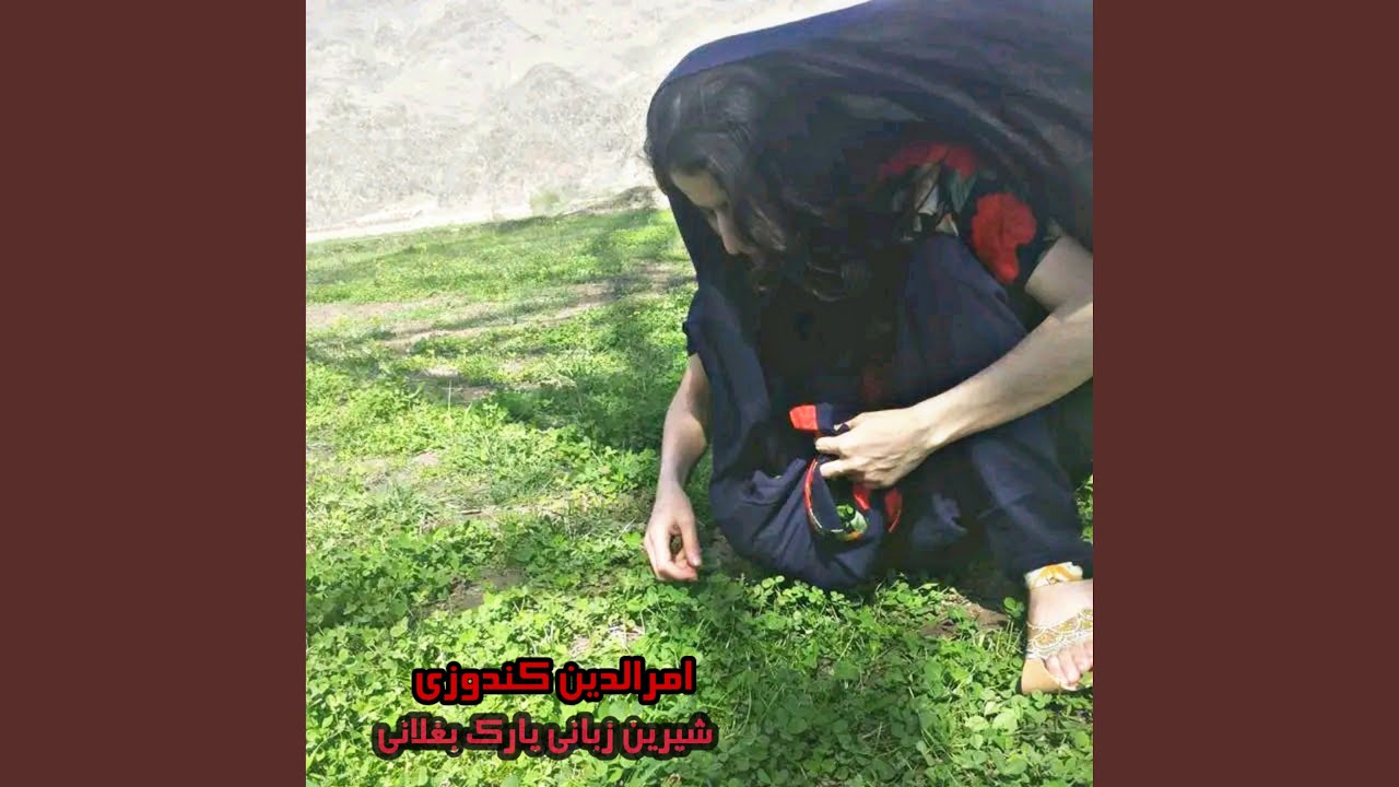 شیرین زبانی یارک بغلانی