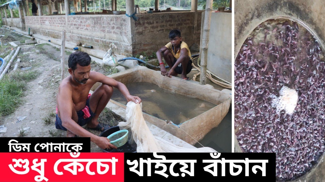 Fish Breeding এর বাস্তব তথ্য সরাসরি হ্যাচারি থেকে