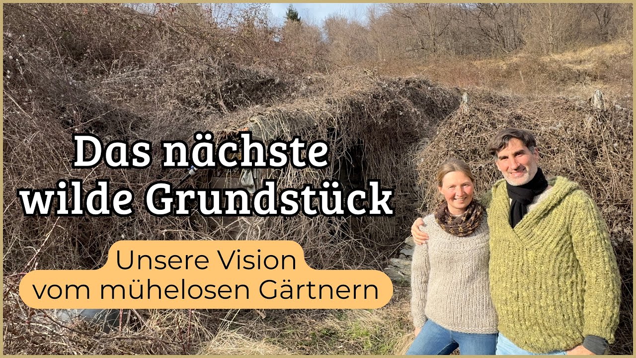 Wilder Garten voller Überraschungen | Terrassen-Grundstück in Ligurien, wir stellen vor