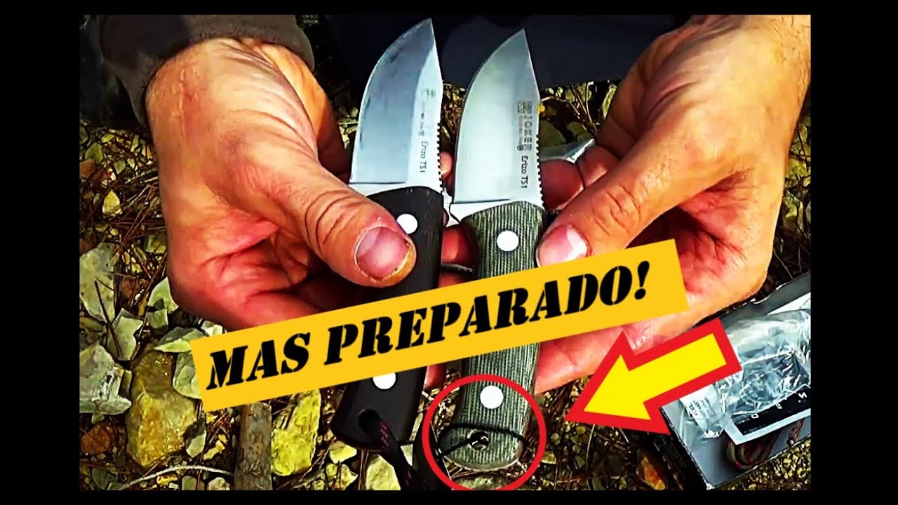 NUEVAS MEJORAS AL ERIZO TS1