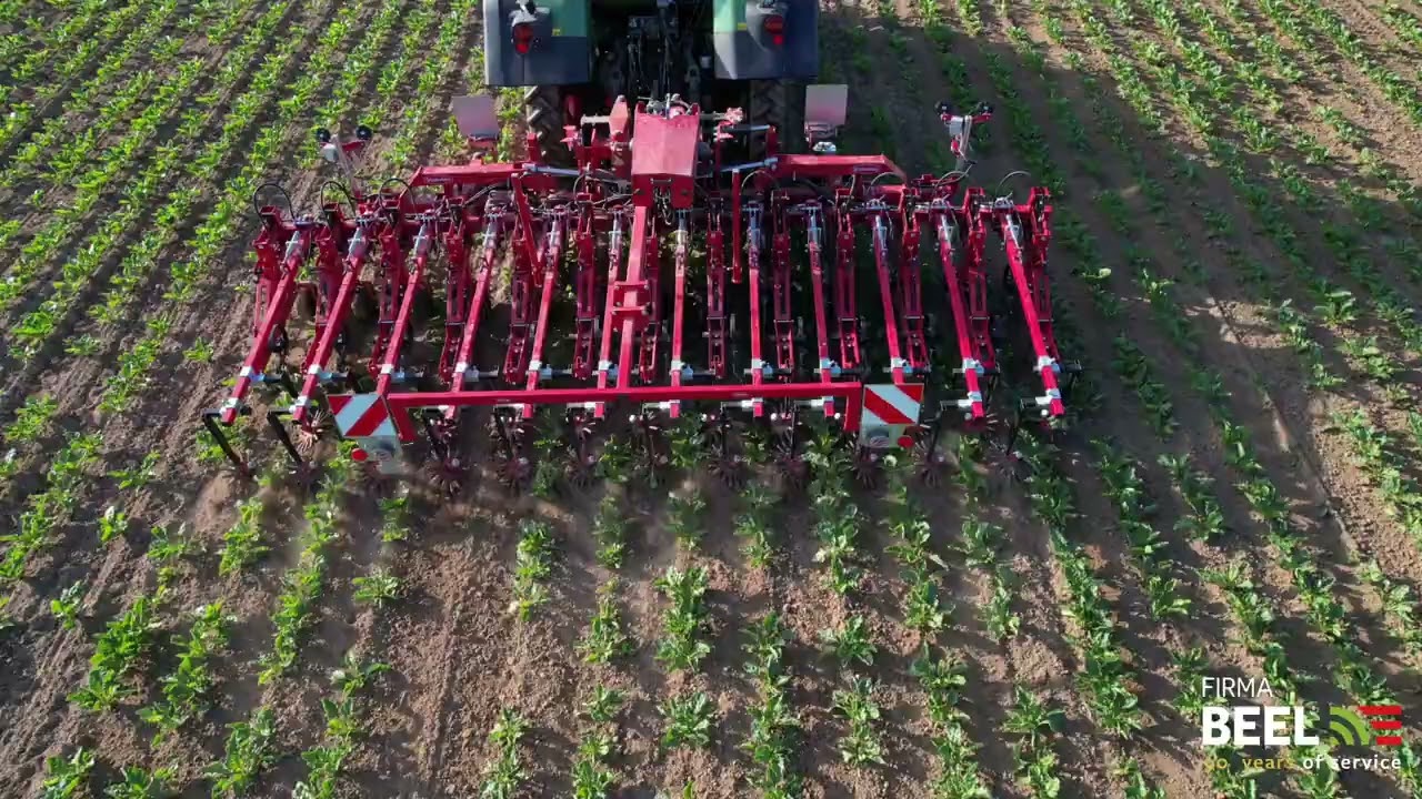 Steketee ED-Weeder