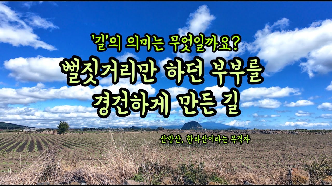 {씩씩} 지금까지 한 번도 느껴본 적 없던 올레길의 뜨거운 박동(搏動) (15.6km)