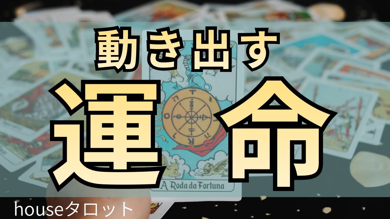 【ついに…】運命の歯車が動き出しました🥰🌈