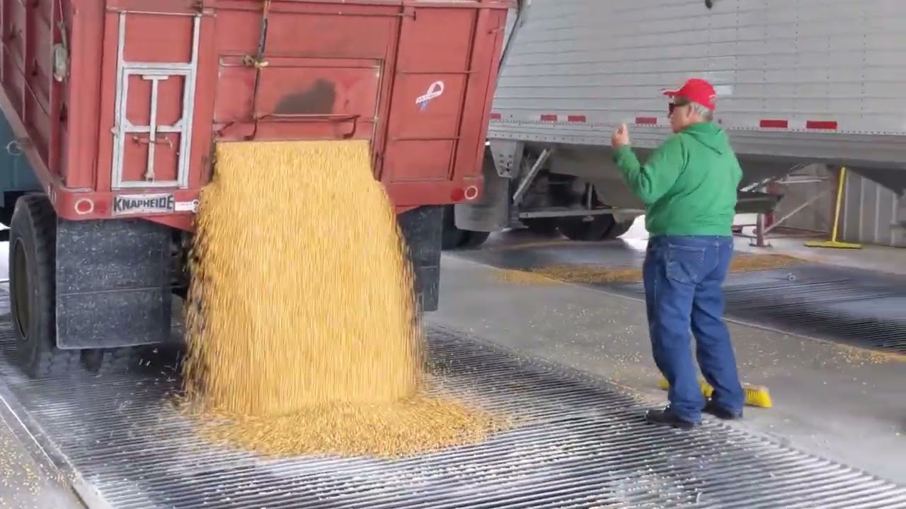 Dumping Corn 2022
